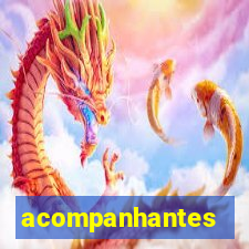 acompanhantes chamada de video